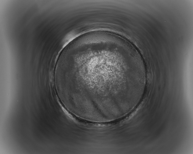 X0000086761521200704201735