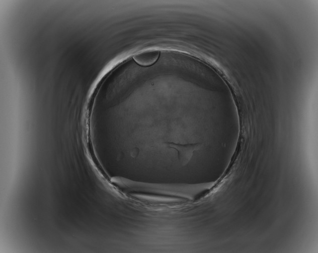 X0000086761522200704201735