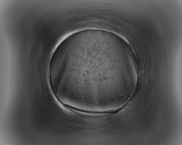 X0000086761523200704201735