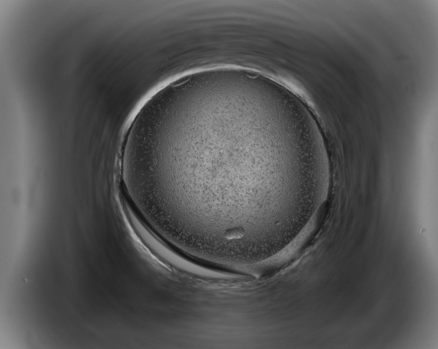 X0000086761524200704201735
