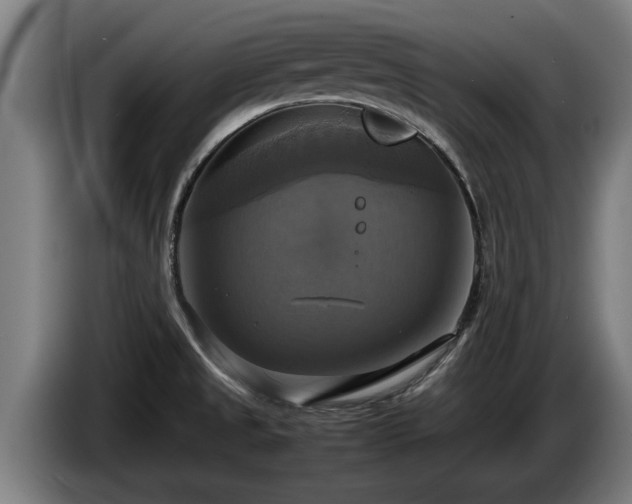 X0000086761525200704201735