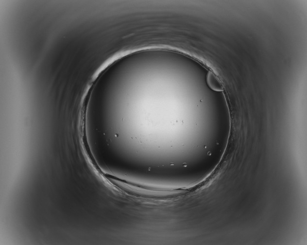 X0000086761526200704201735