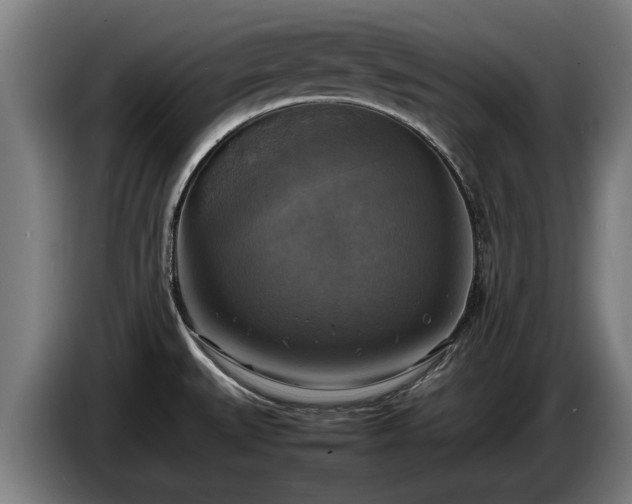 X0000086761527200704201735