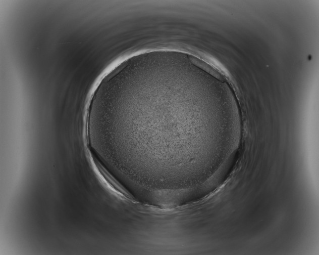 X0000086761528200704201735