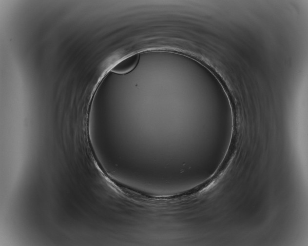 X0000086761529200704201735