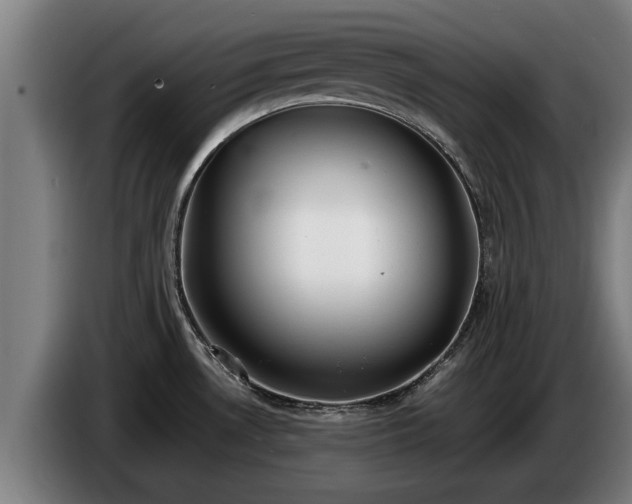 X0000086761530200704201735