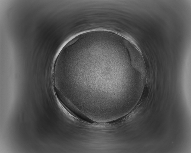 X0000086761532200704201735
