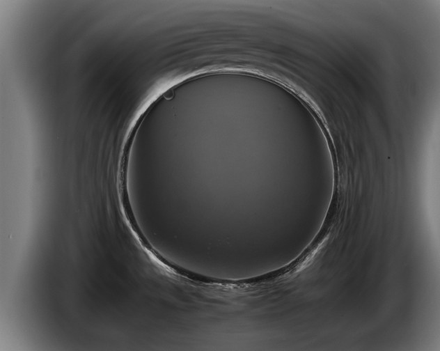 X0000086761533200704201735