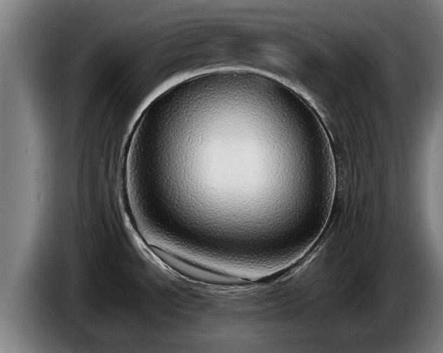 X0000086761534200704201735