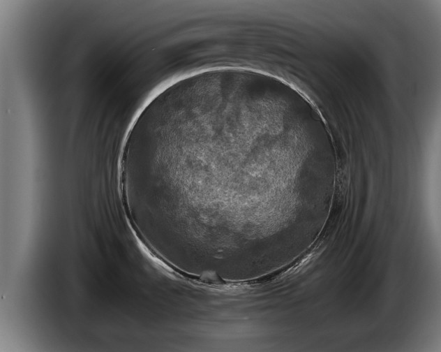 X0000086761535200704201735