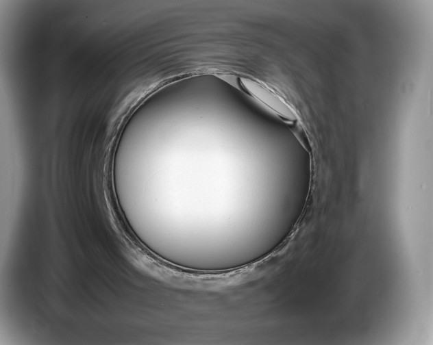 X0000086760001200704271739