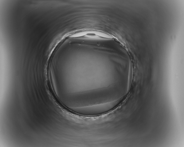 X0000086760002200704271739