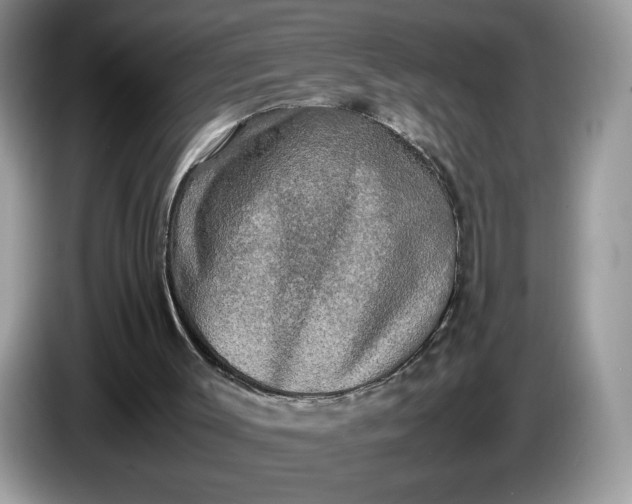 X0000086760003200704271739