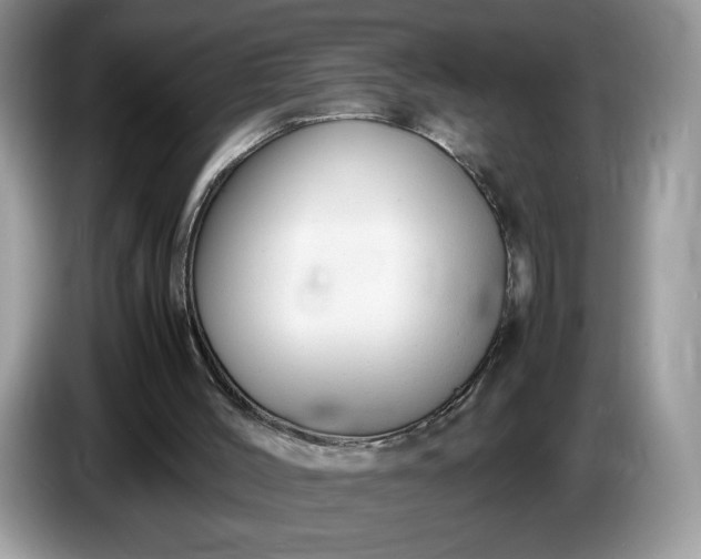 X0000086760004200704271739