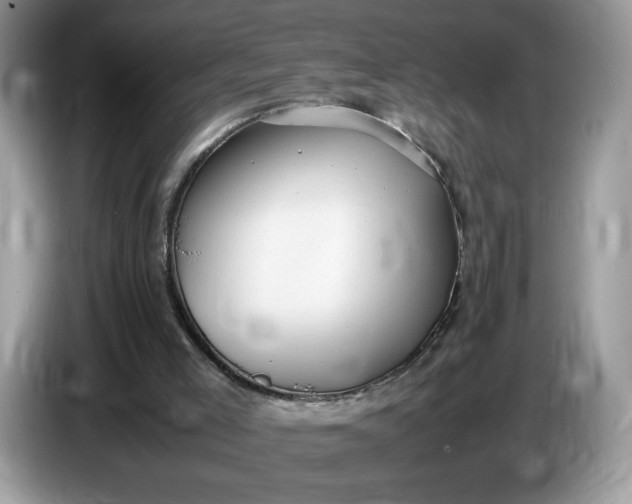 X0000086760005200704271739