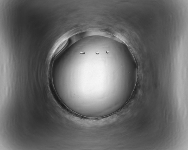 X0000086760007200704271739