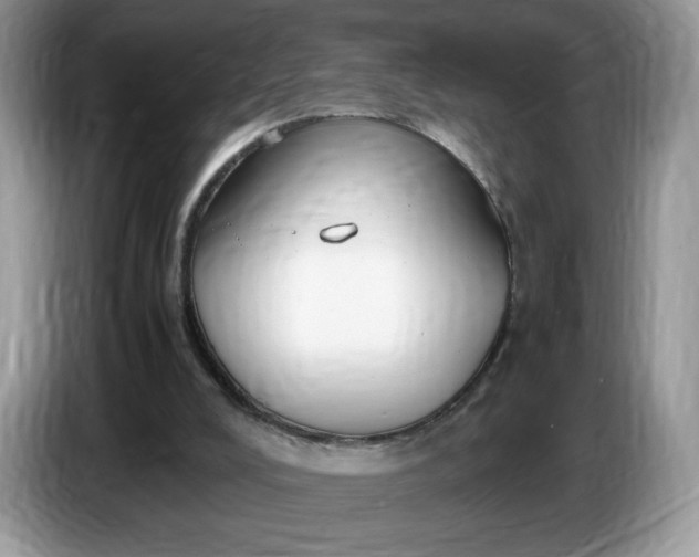 X0000086760008200704271739