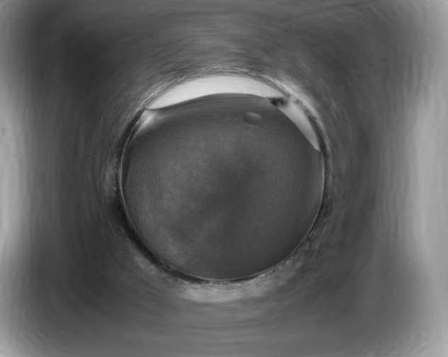 X0000086760009200704271739