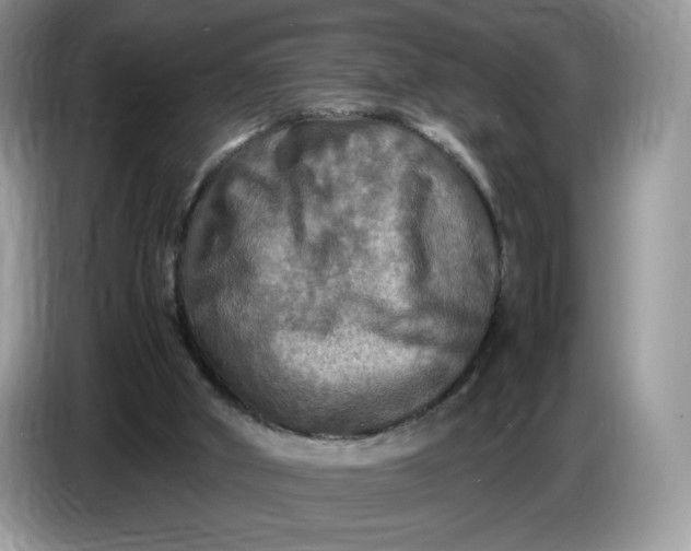 X0000086760010200704271739