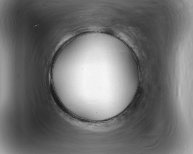 X0000086760011200704271739