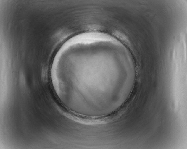 X0000086760012200704271739