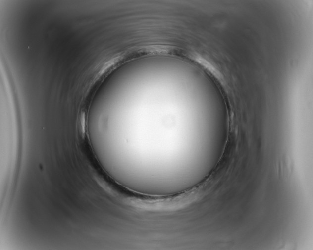 X0000086760013200704271739