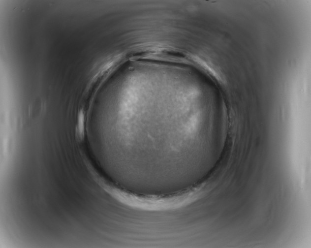 X0000086760014200704271739