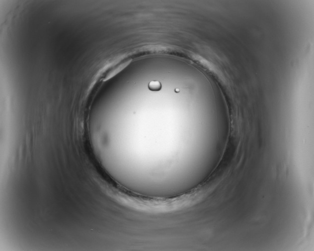 X0000086760015200704271739