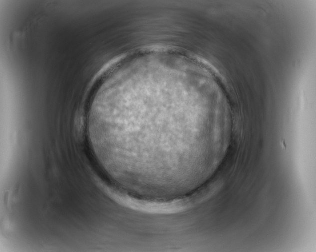 X0000086760016200704271739