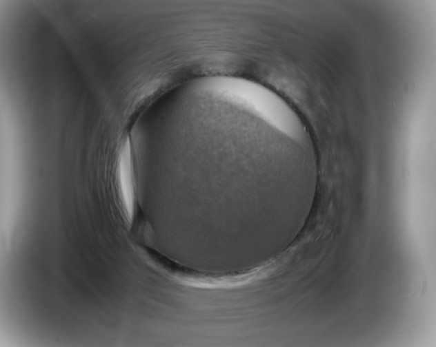 X0000086760017200704271739