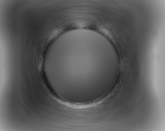 X0000086760018200704271739