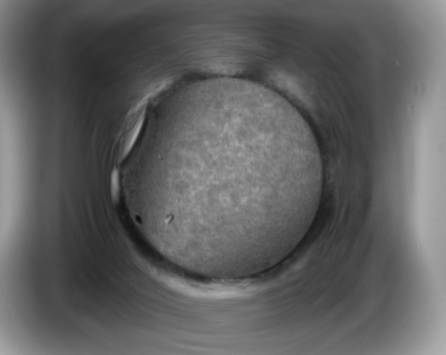 X0000086760020200704271739