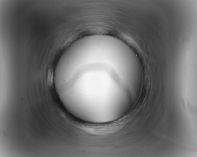 X0000086760021200704271739