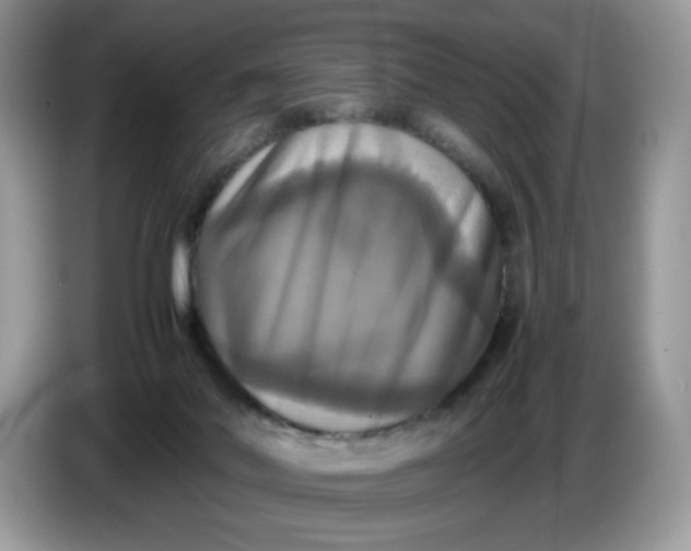 X0000086760022200704271739