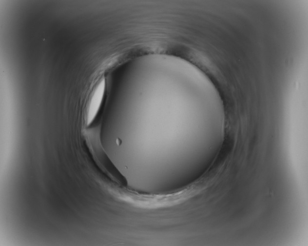 X0000086760023200704271739