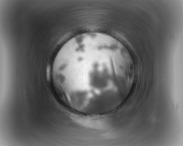 X0000086760024200704271739