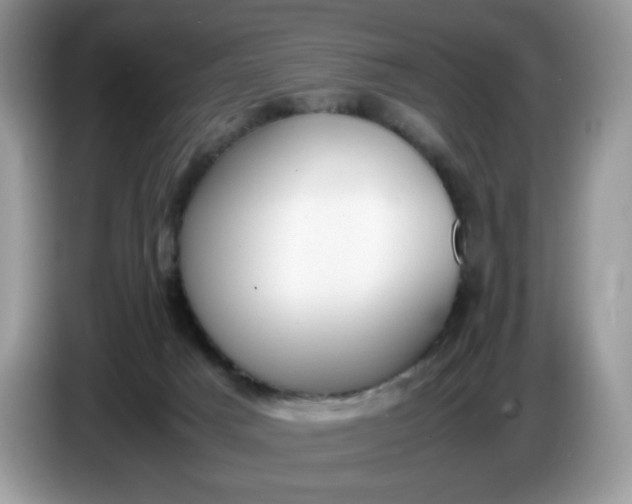 X0000086760025200704271739