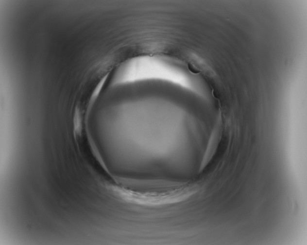 X0000086760026200704271739