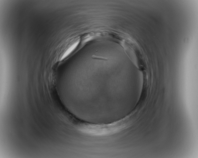 X0000086760029200704271739