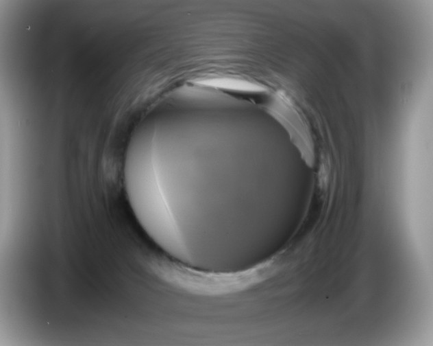 X0000086760031200704271739