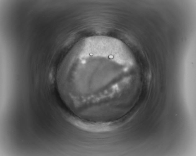 X0000086760032200704271739