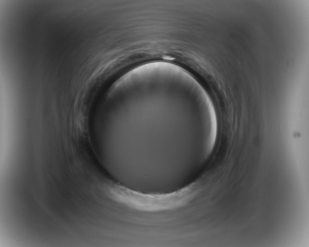 X0000086760035200704271739