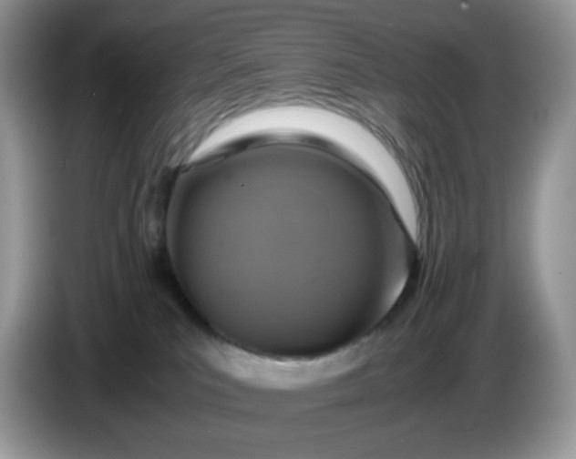 X0000086760039200704271739