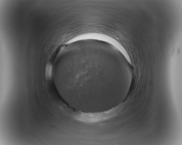 X0000086760041200704271739