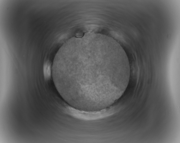 X0000086760042200704271739