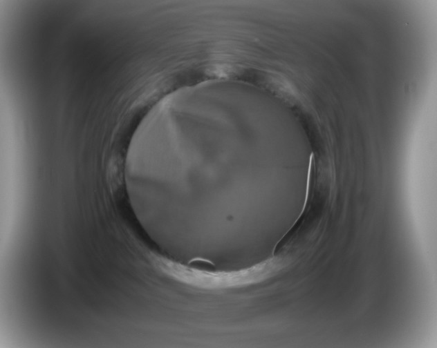 X0000086760043200704271739