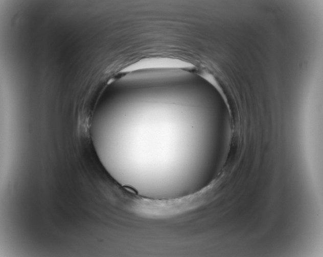 X0000086760045200704271739