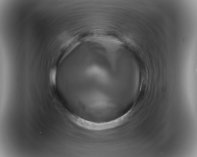 X0000086760047200704271739