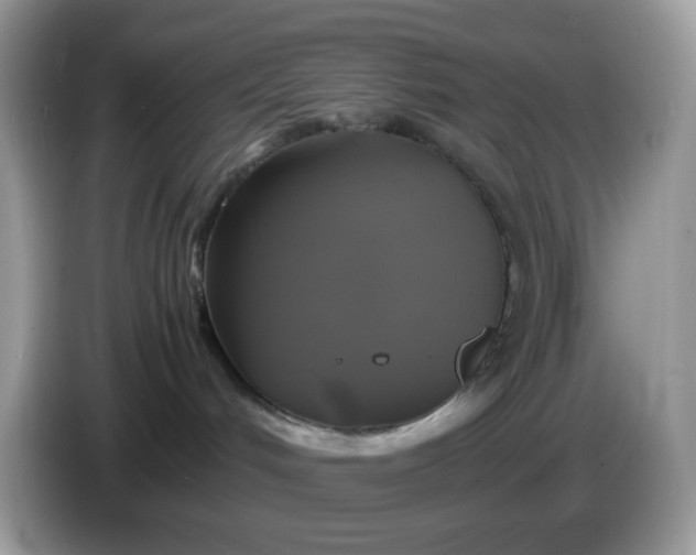 X0000086760048200704271739