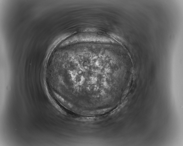 X0000086760049200704271738